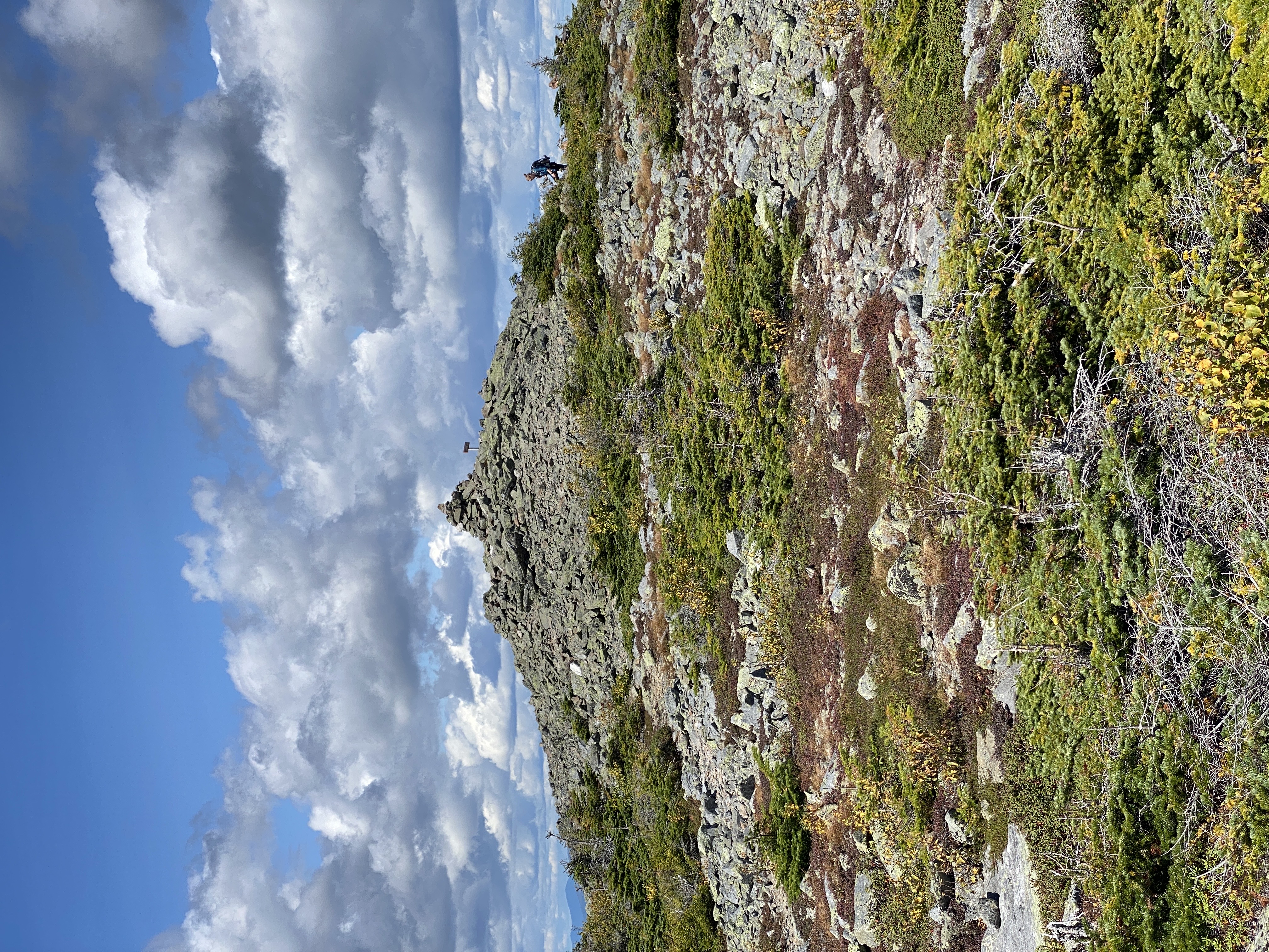 pano