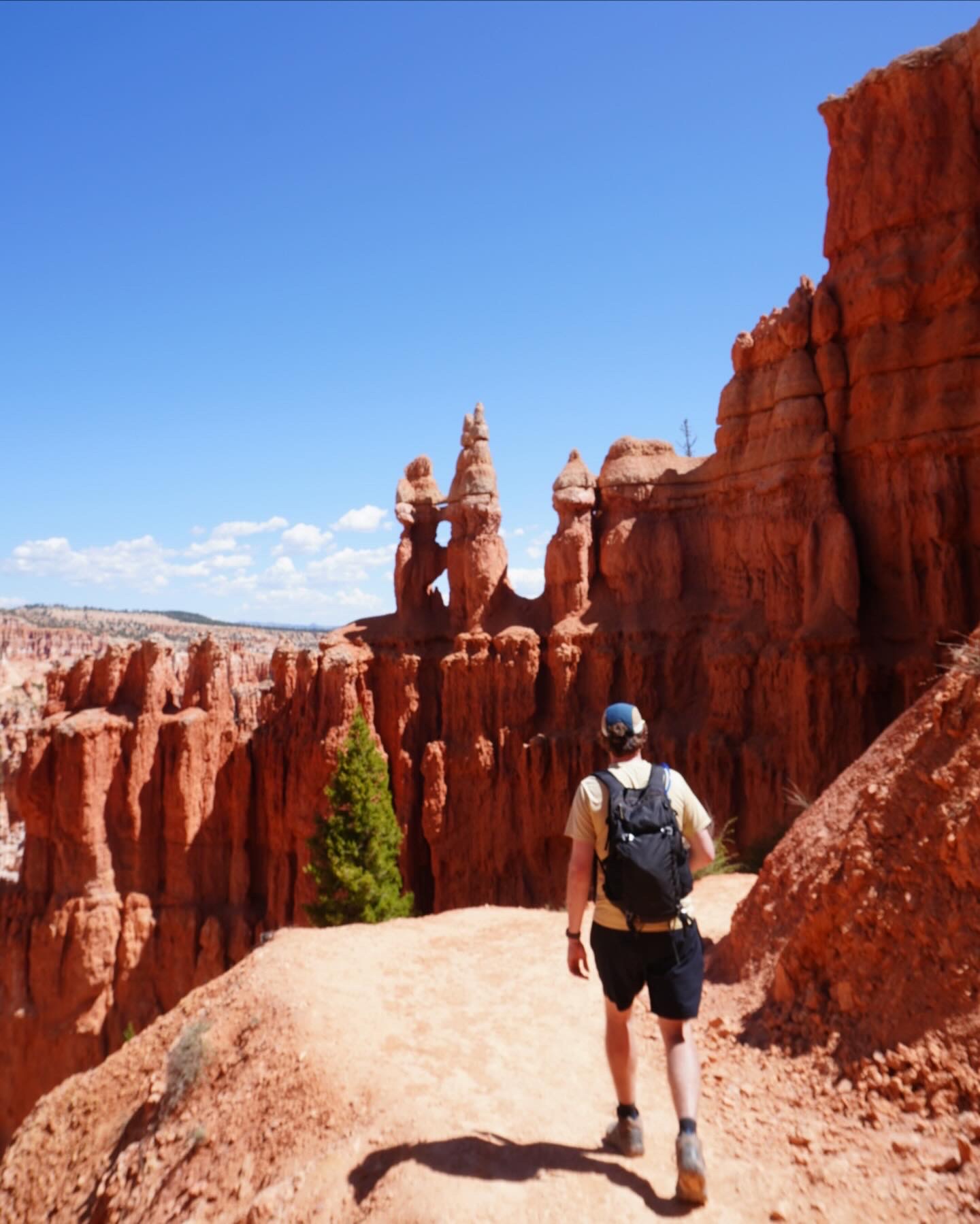 We took the Peak-A-Boo trail which descended very far into thr canyon but what goes down must come back up