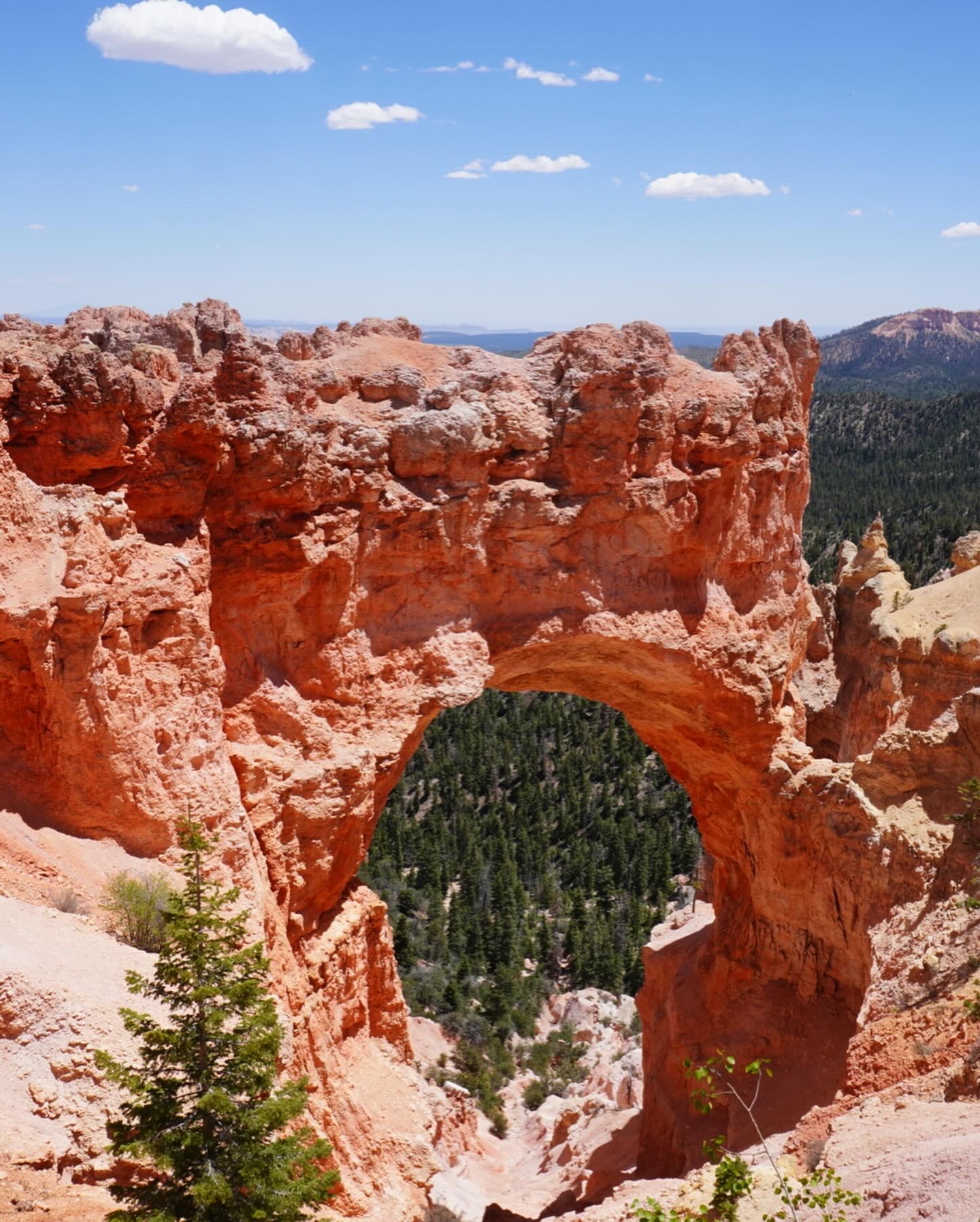 Natural bridge in Bryce Canyon