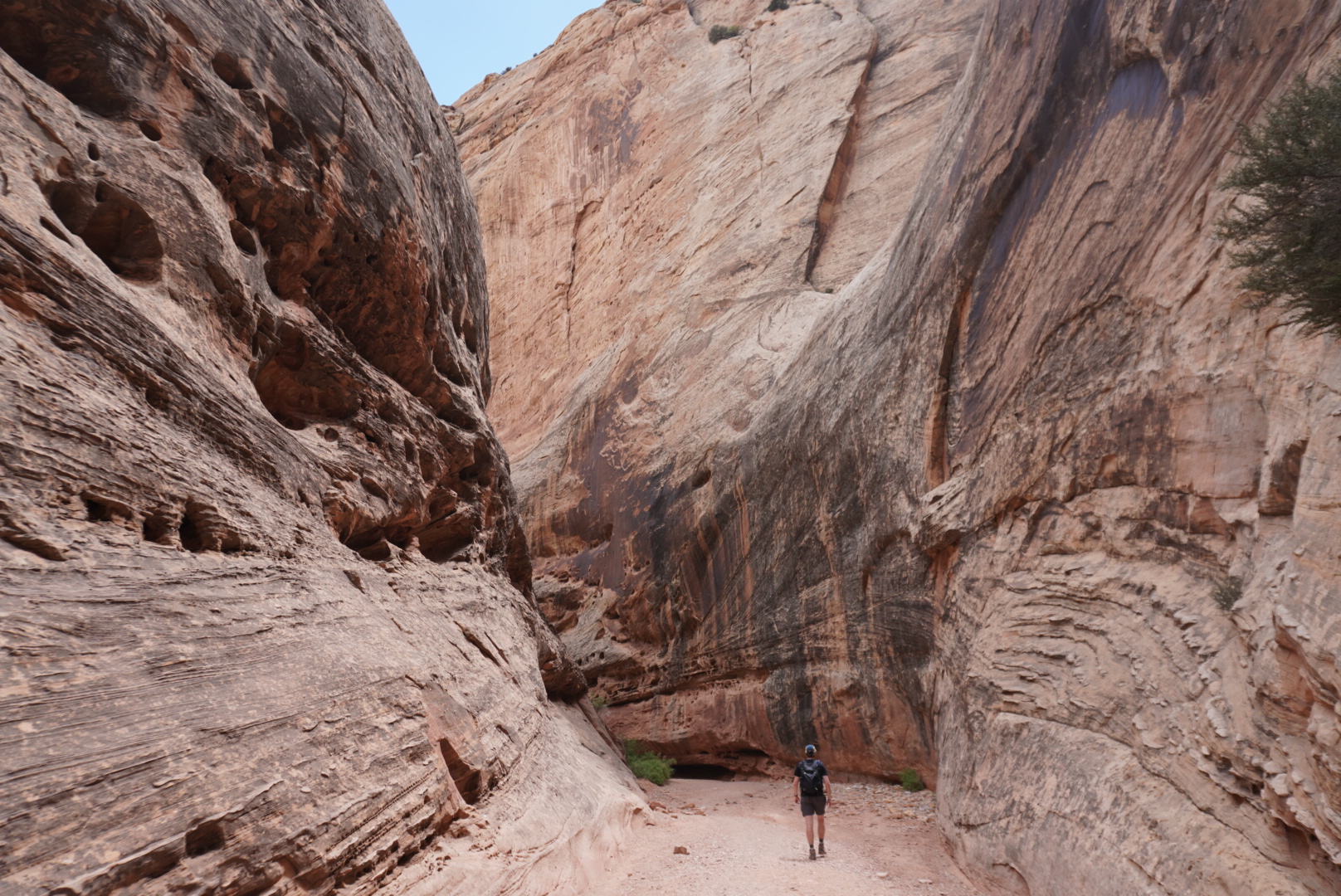 The Grand Wash Trail which took us down the Narrows, these were massive rock walls
